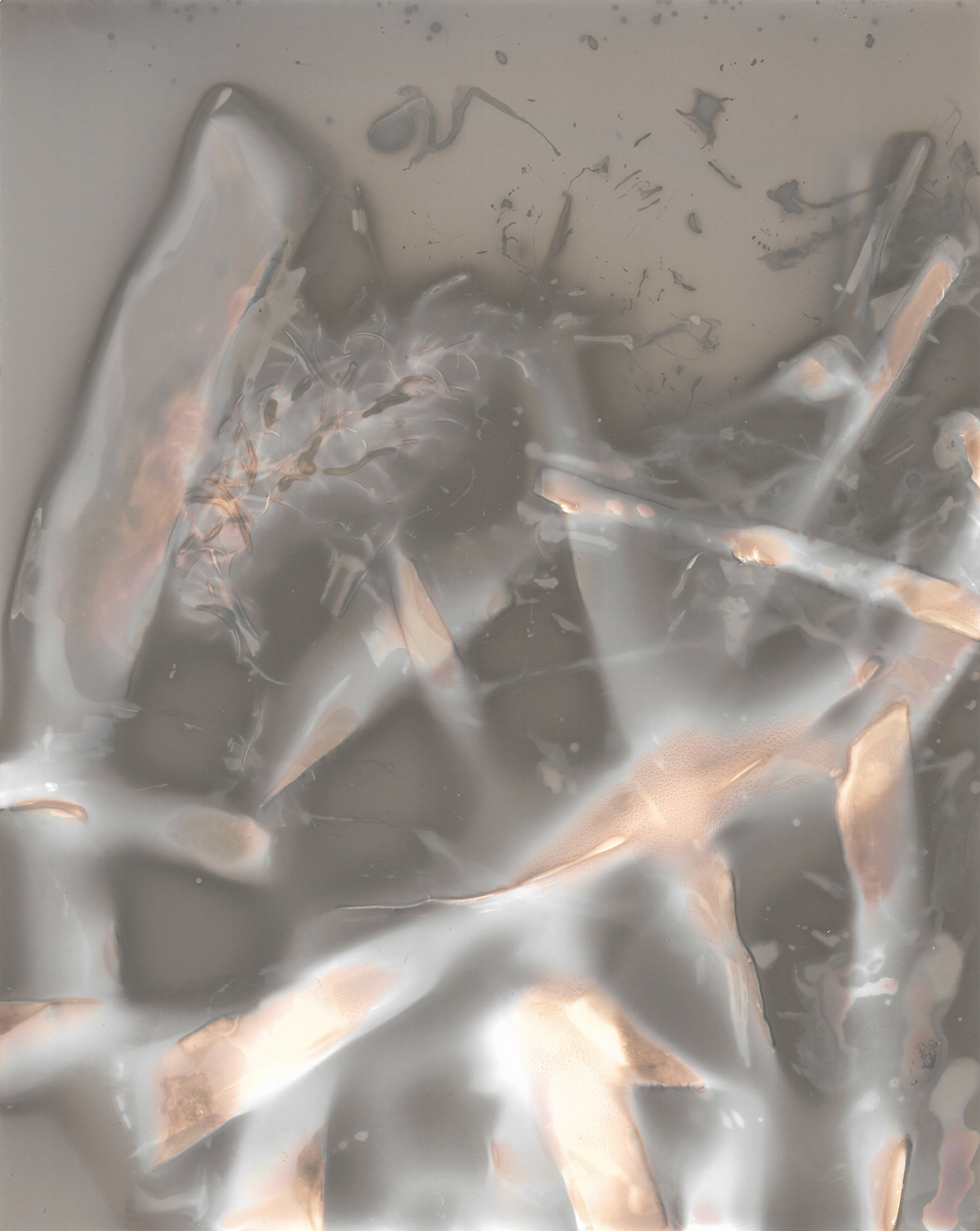 Icelandic Seaweed, 2025, Lumen Print on photographic paper, 200mm x 300mm