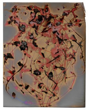 Scarlet Pimpernel Lumen