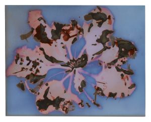 Rizosphere - Plantain Lumen Print Version 2