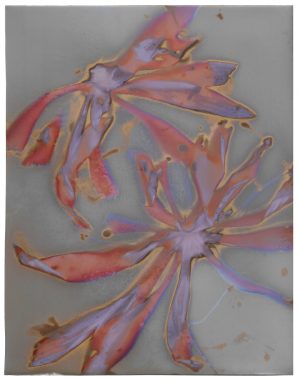 Rizosphere - Plantain (Narrow Leaf) Lumen