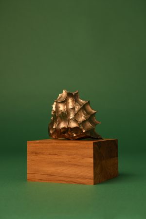 Bronze Hand Held